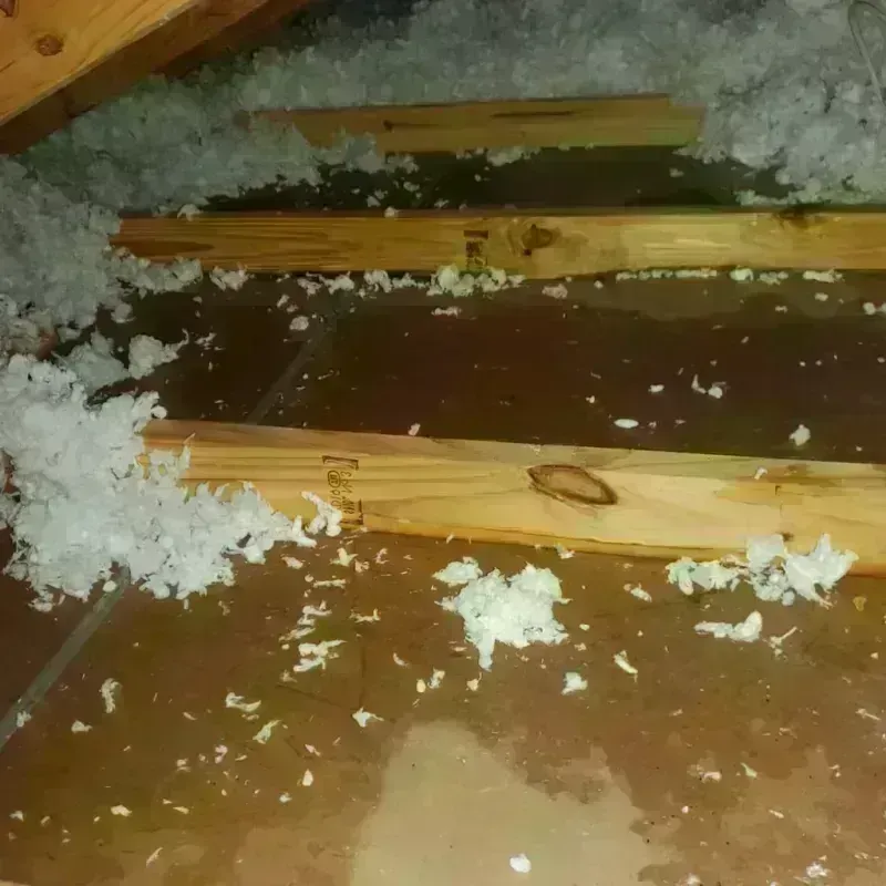 Attic Water Damage in Lumberton, MS