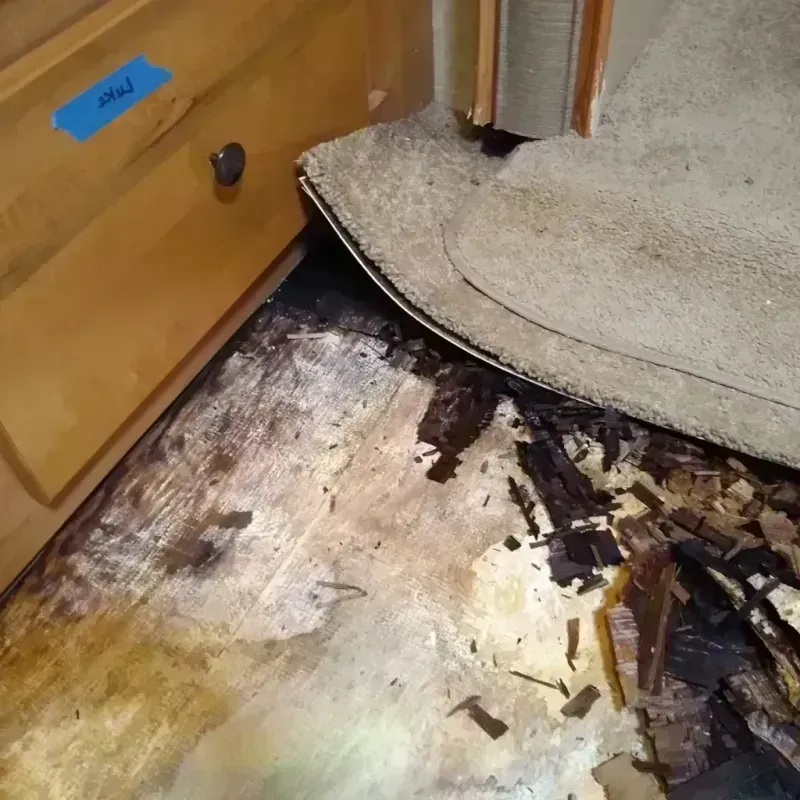 Best Wood Floor Water Damage Service in Lumberton, MS